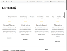Tablet Screenshot of netdigix.com